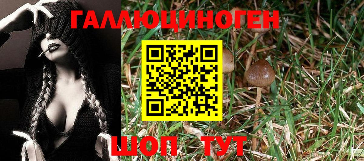Новочеркасск  Псилоцибиновые грибы ЛСД  Вход с VPN 